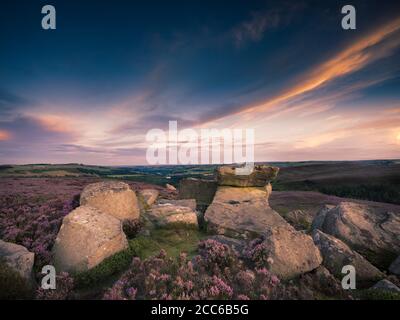 Peak District above Langset Res, evening sunset with the heather in full bloom