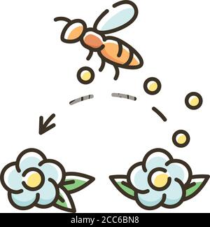 Pollination RGB color icon Stock Vector