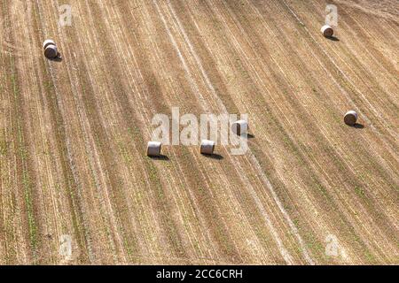 Looking down at hay bales in a harvested field, on a sunny late summers day Stock Photo