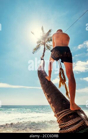 Man climb on palm tree for swing on the beach swing Stock Photo