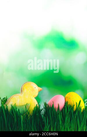 Easter bird gingerbread and painted eggs on the grass with copy space Stock Photo