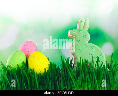 Easter bunny gingerbread and painted eggs on the grass with copy space Stock Photo