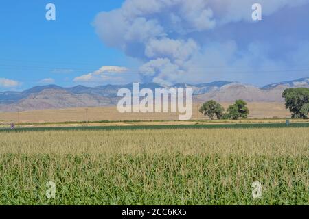 A forest fire burning in remote and rough terrain. In the Pine Gulch of the Rocky Mountains near Grand Junction, Colorado. Stock Photo