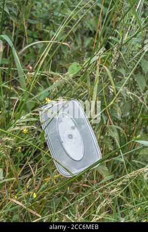 Plastic takeaway food container at country road lay-by. Perched high up in roadside weeds as if someone had opened car window and simply dumped it. Stock Photo