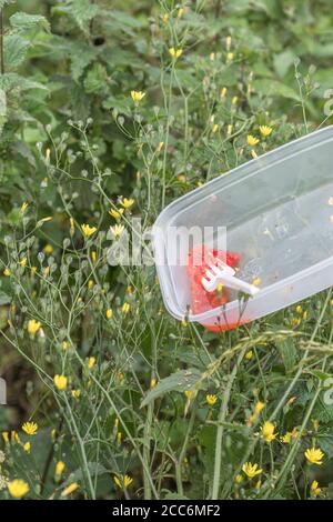 Plastic takeaway food container at country road lay-by. Perched high up in roadside weeds as if dumped out of car window. For single-use plastic ban. Stock Photo