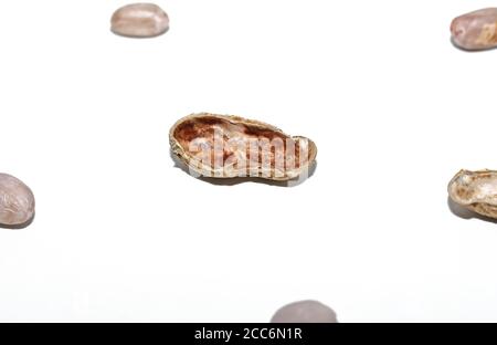 Top view of Peanuts hulls nut shell and peeled peanuts isolated on white backgrounds Stock Photo