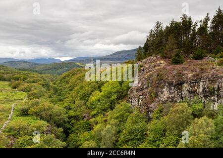 Forest by Llyn Trawsfynydd, Wales Stock Photo