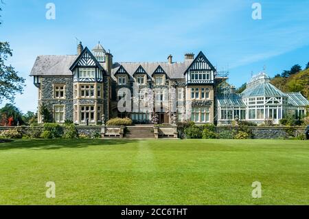 Cedar Tree, The Lily Terrace, Bodnant Garden, Wales (2003-188)