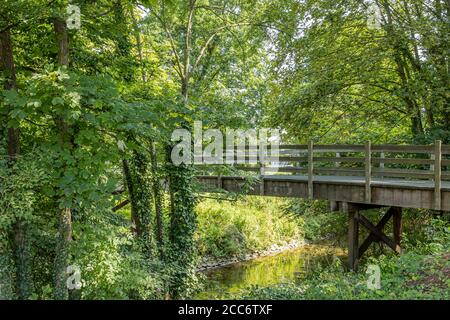 Small wooden bridge over a stream among trees with climbing plants on its trunks and abundant green vegetation, sunny summer day in Maastricht, South Stock Photo