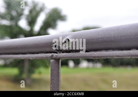 Bullet holes on the railing of the bridge, obtained during the war. Brest Fortress. Stock Photo