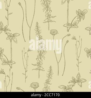 Seamless pattern with meadow ink drawn plants. Stock Vector