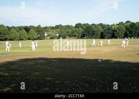 An amateur cricket team playing on a village green, Lindfield, West Sussex, England, UK Stock Photo