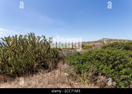 Fort of Sant'Ignazio in the city of Cagliari in Sardinia, Italy on a hot summer day. Stock Photo