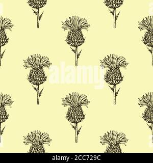 Seamless pattern with thistle flowers. Black and white ink engraving illustration.  Stock Vector