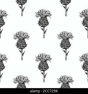 Seamless pattern with thistle flowers. Black and white ink engraving illustration.  Stock Vector