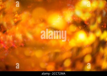 defocused red leaves, perfect autumn background Stock Photo