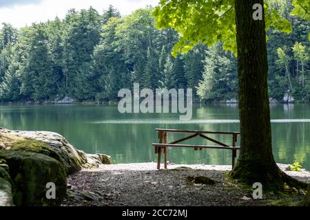 With the focus on the background scenery, a picnic table sits on a rocky surface by a tree near water in a forest park. Stock Photo