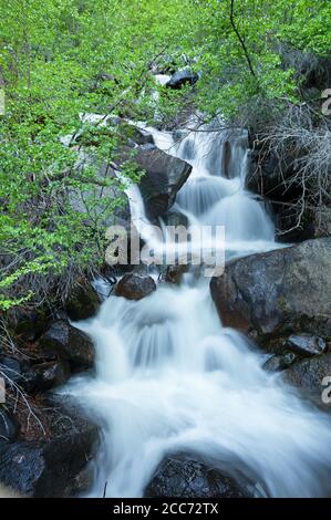 mountain stream with silky smooth water tumbling over rocks Stock Photo