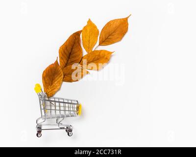 Autumn sale: shopping cart with yellow fall leaves on white background. Seasonal sale or fall discount deal with copy space for your text Stock Photo