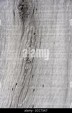 old gray weathered wood board background texture with knots Stock Photo