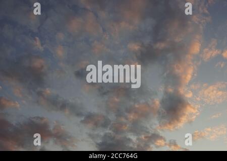 background evening cloudy sky in summer sunset Stock Photo