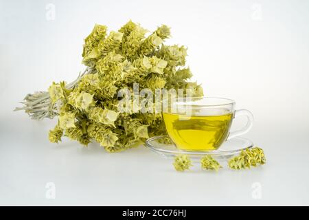 Bunch of mountain tea Malotira and mug with hot tea. Greek traditional herbal tea in transparent cup. Mountain tea sideritis. Natural Greek herbs. Stock Photo