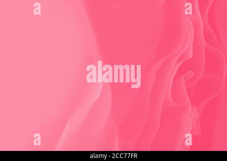 Light pink crimson color gradient abstract background with blurred lines Stock Photo