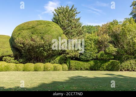 East Hampton landscape with various trimmed bushes and plants Stock Photo