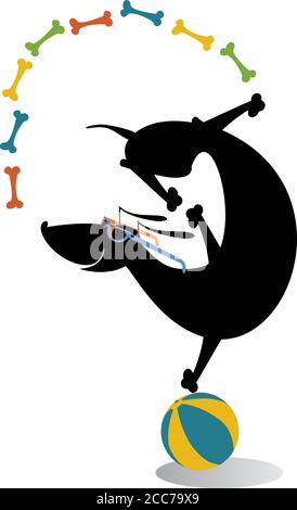 Equilibrist dog on the ball juggles the bones illustration. Funny dachshund balances on the ball and juggles the bones isolated on white illustration Stock Vector