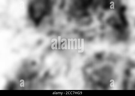 Black and white blur background. Gray gradient abstract surface. Stock Photo