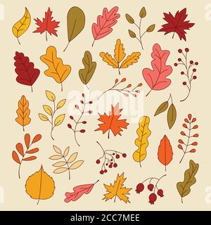 Autumn Leaves Set, Vector Illustration, Autumn leaves or fall foliage icons, Falling poplar, autumn leaves for seasonal holiday greeting card design Stock Vector