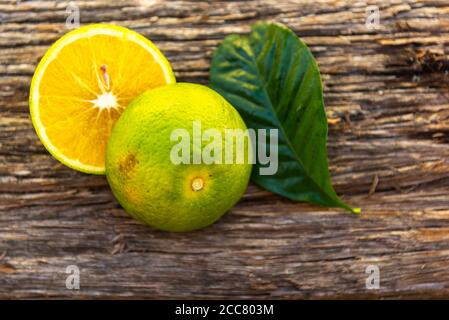 Fresh orange fruits. Orange is the fruit of the orange tree (Citrus sinensis), a tree in the Rutaceae family. It is a hybrid fruit. Fruit rich in vita Stock Photo