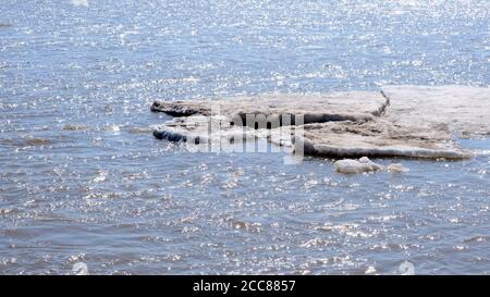 Close up sheets of ice floating on the Ob River. Stock Photo