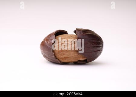 nutmeg spice and its shell isolated on the white background. Stock Photo