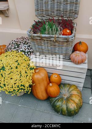 Pumpkins and autumn flowers in baskets on wooden boxes, rustic modern decor of city street in fall. Happy Thanksgiving and Halloween. Halloween street Stock Photo