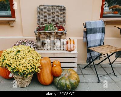 Pumpkins and autumn flowers in baskets on wooden boxes, rustic modern decor of city street in fall. Happy Thanksgiving and Halloween. Halloween street Stock Photo