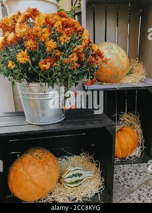 Halloween street decor. Pumpkins and autumn flowers on wooden boxes, rustic modern decor of city street in fall. Happy Thanksgiving and Halloween Stock Photo