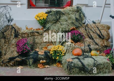 Halloween street decor. Pumpkins and autumn flowers in cobweb on hay bale, rustic festive decoration of european city street. Happy Thanksgiving and H Stock Photo