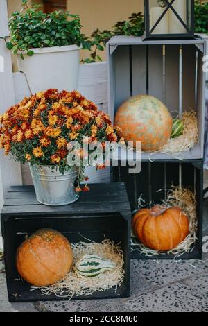 Halloween street decor. Pumpkins and autumn flowers on wooden boxes, rustic modern decor of city street in fall. Happy Thanksgiving and Halloween Stock Photo