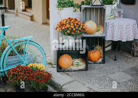 Pumpkins and autumn flowers on wooden boxes, rustic modern decor of city street in fall. Happy Thanksgiving and Halloween. Halloween street decor. Stock Photo