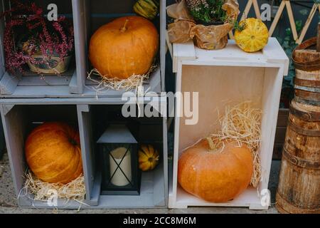 Halloween street decor. Pumpkins and autumn flowers on wooden boxes, rustic modern decor of city street in fall. Happy Thanksgiving and Halloween Stock Photo