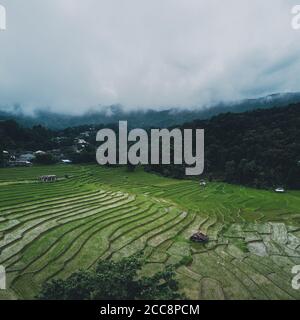 Green rice fields in the rainy season In the countryside Stock Photo ...