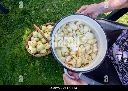 Cropped photo of old woman's hand with a pan of sliced apples on the background with a wicker basket of apples, open air. Harvesting concept, natural product without pesticides. High quality photo Stock Photo