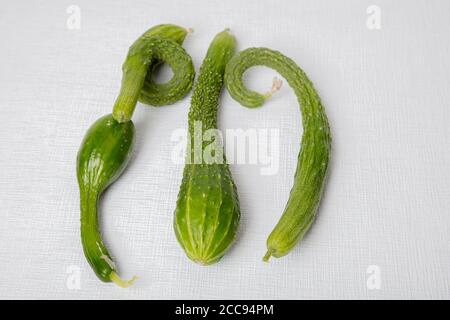 Long, crooked, fresh cucumbers on a white background. High quality photo Stock Photo