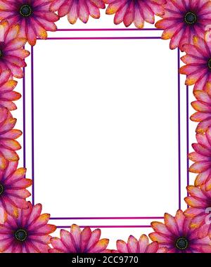 purple flower border line