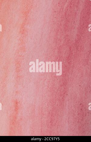 Vertical pink gradient colored paper surface, high resolution texture Stock Photo