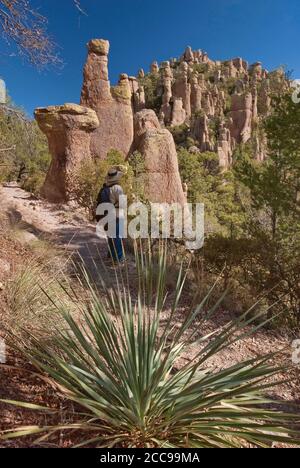 Common Sotol (Desert Spoon) plant, rock pinnacles and hiker on Hailstone Trail in Chiricahua National Monument, Arizona, USA Stock Photo