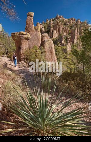 Common Sotol (Desert Spoon) plant, rock pinnacles and hiker on Hailstone Trail in Chiricahua National Monument, Arizona, USA Stock Photo