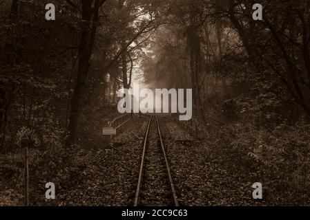 Rails of a narrow gauge railway in a foggy mystical forest, foggy forest and narrow gauge rails, black and white photo Stock Photo