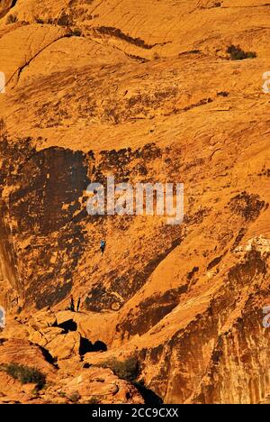 Rock climbers at sandstone wall in Calico Hills, sunset, Red Rock Canyon area in Mojave Desert near Las Vegas, Nevada, USA Stock Photo
